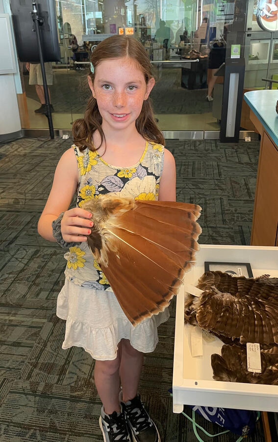 NC Museum of Natural Sciences